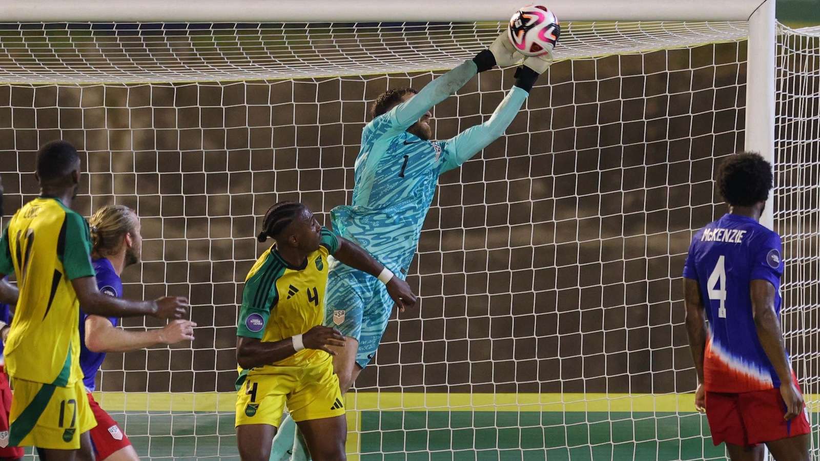 公众的期待 公众的期待