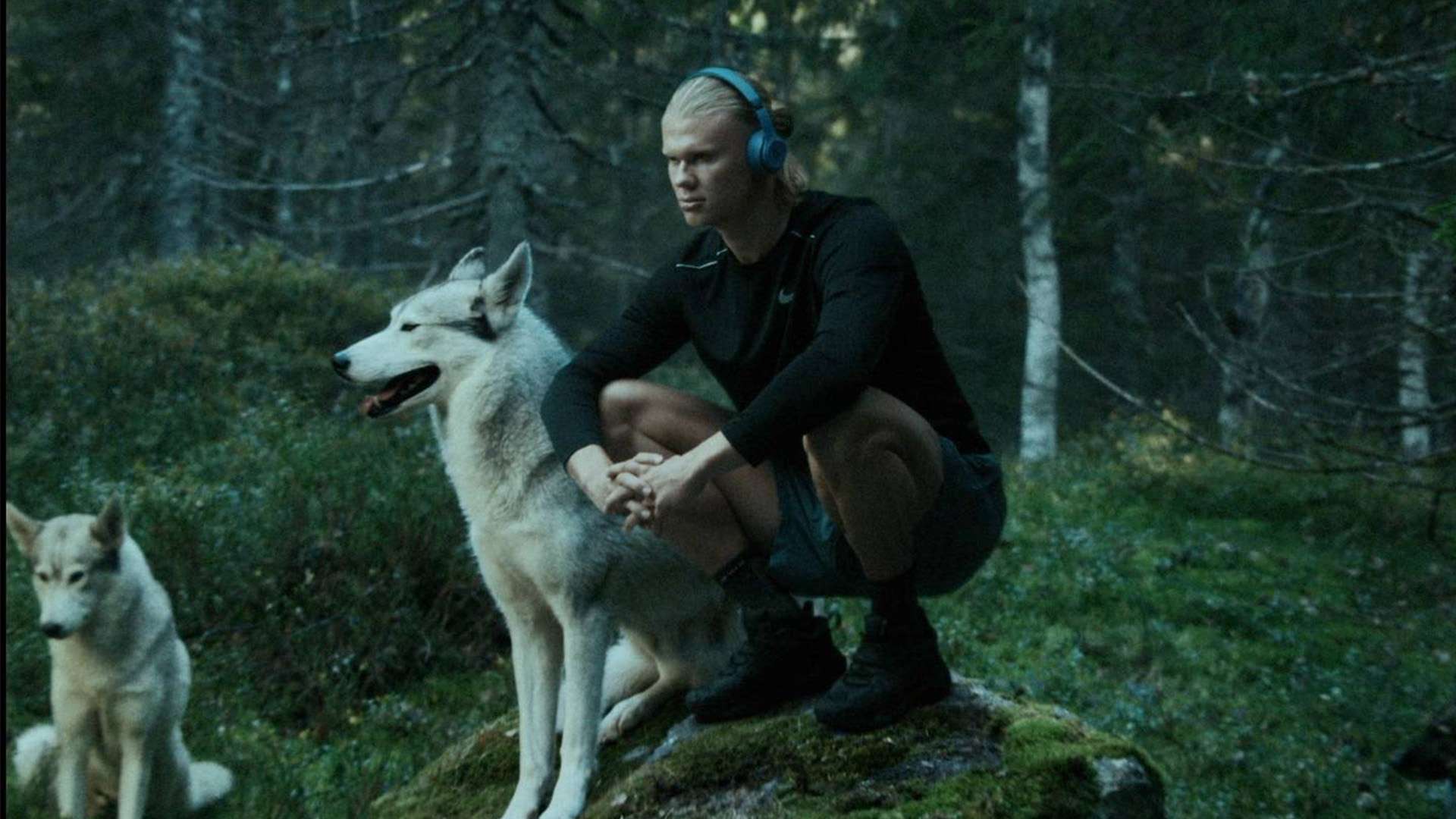 数据表现极 数据表现极