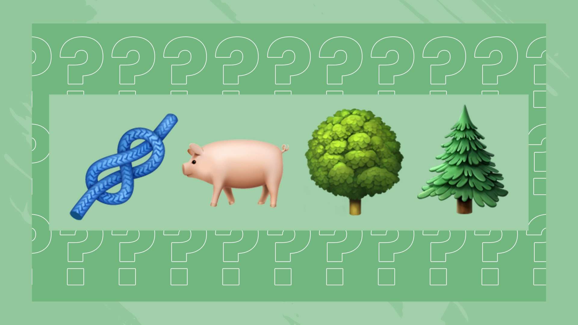 世界足球的 世界足球的